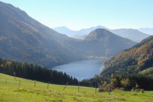 Urlaub am Bauernhof - Lunz am See / Maiszinken - Moaserhof