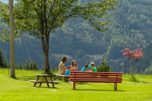 Urlaub am Bauernhof - Lunz am See / Maiszinken - Moaserhof