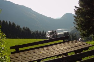 Urlaub am Bauernhof - Lunz am See / Maiszinken - Moaserhof