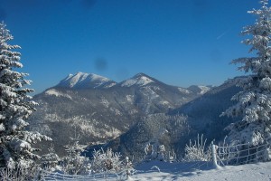 Skihütte - Lunz am See / Maiszinken - Moaserhof