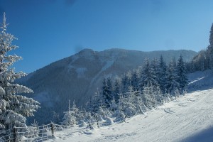 Skihütte - Lunz am See / Maiszinken - Moaserhof