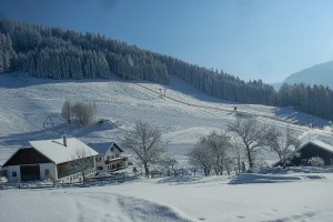 Skihütte - Lunz am See / Maiszinken - Moaserhof