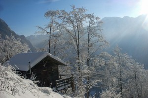 Skihütte - Lunz am See / Maiszinken - Moaserhof